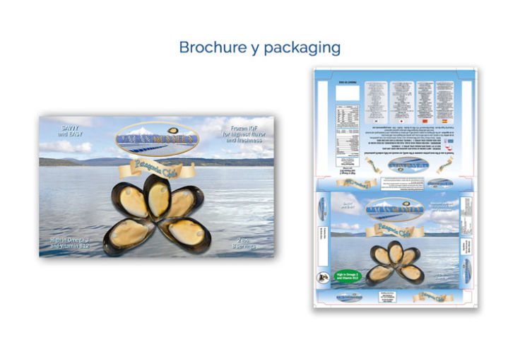 Visual Delphinus, productora audiovisual y diseño gráfico. Realización de videos y diseño para publicidad, corporativo, motivacionales, testimoniales, capacitación y más. Servicios para empresas, pymes, instituciones y personas.